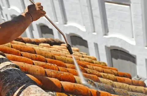 Nettoyage de toitures - Spicheren